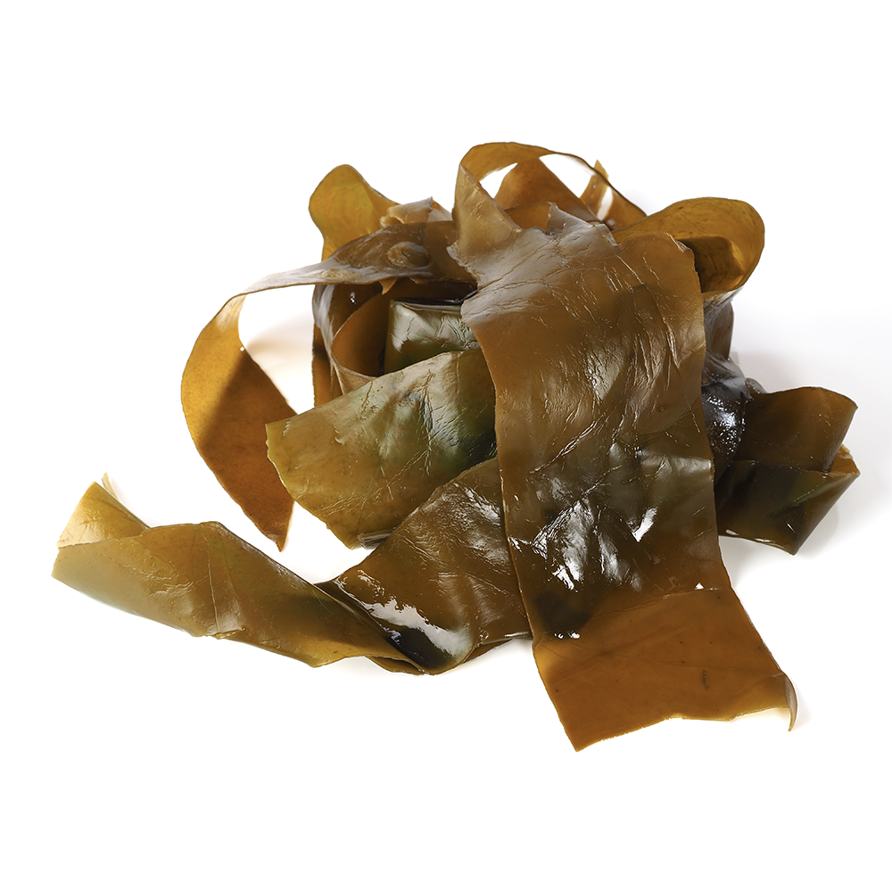 Fucoidan (Brown Seaweed)