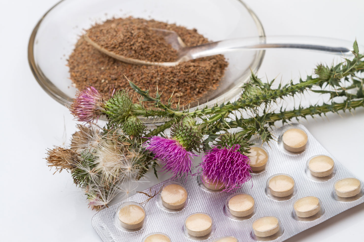 Harnessing The Power of Milk Thistle For Its Maximum Benefits